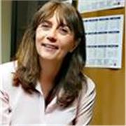 Interprete di inglese ed ex docente impartisce lezioni di inglese e aiuto compiti