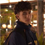 Estudiante en ingeniera en sistemas con amplio conocimiento en física y matemática