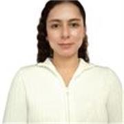 Profesor de química con experiencia en orientación de clases en grados de sexto a undécimo