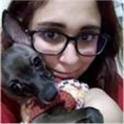 Clases particulares y asesorías en inglés