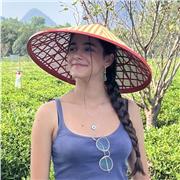 Studente di 5 liceo offre ripetizioni di greco