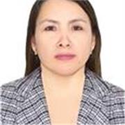 Docencia Universitaria Virtual Taller de Investigación I y II, competencias investigativas en estudiantes universitarios