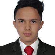 Estudiante universitario de semestre avanzado. Imparto clases de física o matemáticas