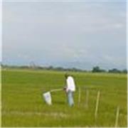 Clases online de Ciencias Naturales, Educación Ambiental, desarrollo técnico de productos fitosanitarios, pruebas de eficacia y B