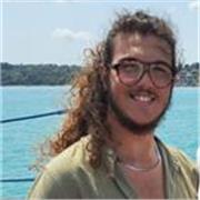 Studente universitario, faccio ripetizioni e insegno metodo di studio a studenti delle elementari, medie e superiori