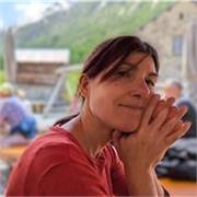 Tutor didattico/ preparazione esami/revisione tesi