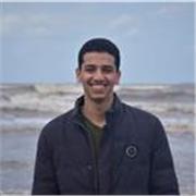 A native English speaker with 4 years of experience offers private English lessons for children and adults in Egypt and Palestine 