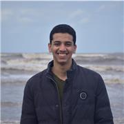 A native English speaker with 4 years of experience offers private English lessons for children and adults in Egypt and Palestine