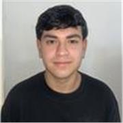Profesor particular de ingles con experiencia en clases de forma virtual, especializado en clases de nivel primario y secundario