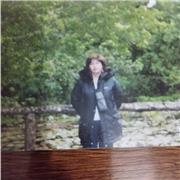 Profesora de apoyo especialista en lenguaje , traducción, comprensión lectora ,Paes, exámenes libres, francés, inglés , alemán