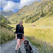 Nachhilfe in Psychologie für Bachelor und Master / Universität