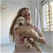 🌟 Clases de Primaria presenciales: enseñanza clara y didáctica para tus pequeños