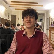 Offro lezioni online private a studenti delle scuole elementari e medie per ripetizioni (italiano, storia, inglese e matematica)