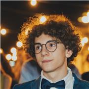 Studente di lettere moderne impartisce lezioni di italiano, latino, storia e inglese