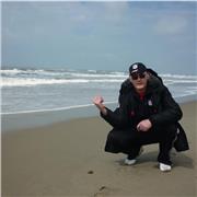 economista già dr. commercialista revisore contabile