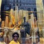 Native Online English teacher, classes de conversation/grammar online para teens and adults