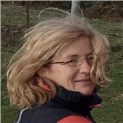 Englisch online - praxisorientiert, einfach und effektiv! Der perfekte Weg mit professioneller Unterstützung!