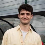 History, Politics and English tutor of students of all ages