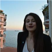 Online Political Science tutoring for Abitur and University students with an engaging approach