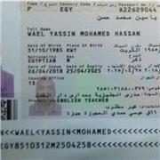 Wael