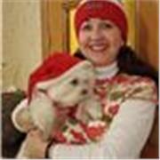 Ciencias, Sociales, Español, Inglés y matemáticas para niños 