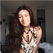 Proffereur particulier donne des cours de soutiens, langue , art , culture et science