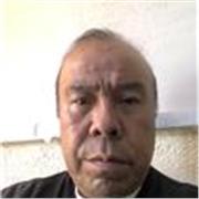 Clases en línea; trabajo todo nivel y área