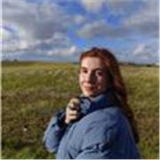 Inglés nivel B1 y B2 (Cambridge)