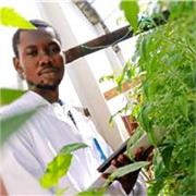 On travaille à distance pour échanger sur les notions de base en Biologie et Mathématiques.