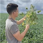 Dou aula de reforço para crianças e jovens!