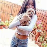 Realizo clases de matemáticas para cursos 1 y 2 medio