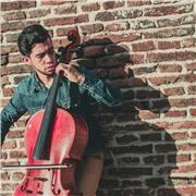 Instructor de Violin