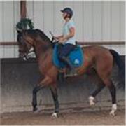 Equitation, Ethologie, tous public, tous niveaux