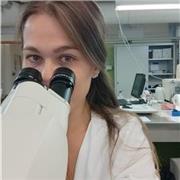 Biologa impartisce lezioni private di materie scientifiche. Ho comunicato a fare lezioni private e aiuto compiti dopo il mio quinto liceo e durante tutto il periodo di laurea. Ho sempre ottenuto buoni risultati e cercato, inoltre, di aiutare i ragazzi con