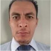 Profesor de psicología, pedagogía y matemáticas