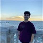 Profesor de Eso apto para todas las materias y niveles