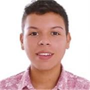 Profesor de apoyo académico especializado en clases, asesoría y tutoría para niños y jóvenes