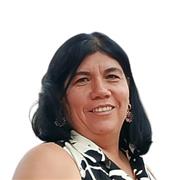 Clases particulares virtuales,apoyo escolar según la necesidad del estudiante