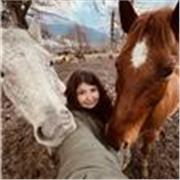 Metodo di studio + ripetizioni online (umanistiche e chimica)