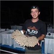 Offro lezioni private in materie scientifiche a ragazzi di scuole medie e superiori 