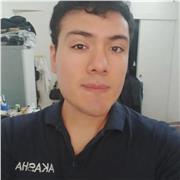 Sprachlehrer (Spanisch, Englisch, Deutsch, Französisch)