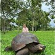 Profesor de inglés (Nativo-C1) para todas las niveles y edades, con A2-B1 español