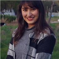 Sibel