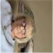 Professional and experienced with working with mental health.