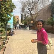 GCSE and A Level Maths, Physics, Economics or Business