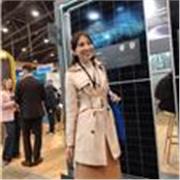 Clases online para acompañamiento escolar