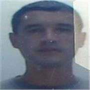 Realización de trabajos prácticos, monografías, tesis