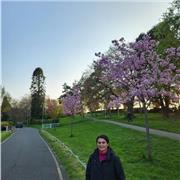 Math teacher for GCSE/AS level pure and applied Math