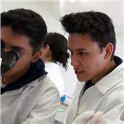 MATEMÁTICAS por Ing. en Biotecnología (carrera Fisicomatemática). Calculo (DIFERENCIAL, INTEGRAL, VECTORIAL), ESTADÍSTICA, Álgebra LINEAL, ECUACIONES DIFERENCIALES, MÉTODOS NUMÉRICOS, CUANTITATIVOS y soluciones con Programación