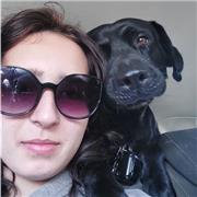 Ofrezco clases particulares de Francés. Soy Nativa . Ideal para gente que se esté preparando para el examen oficial. Tengo experiencia